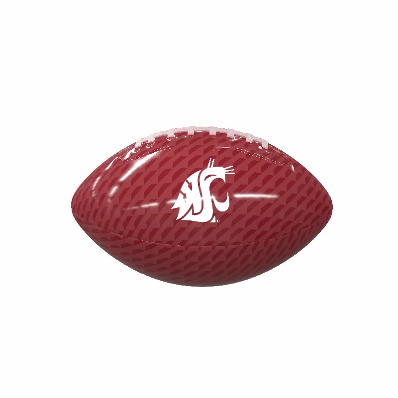 Training Rugby Balls-Washington State Carbon Fiber Mini SizeGlossy Football